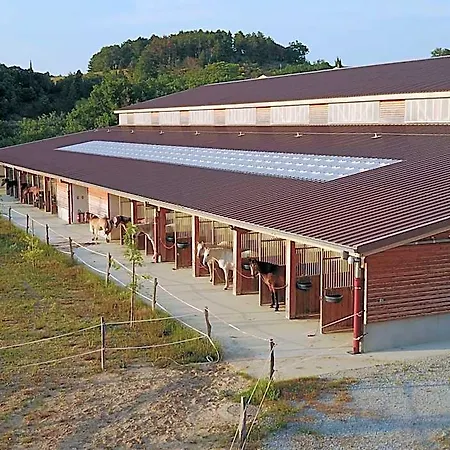 Domaine De Fraisse 3* 룩