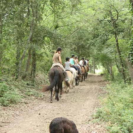 Domaine De Fraisse Отель 3*
