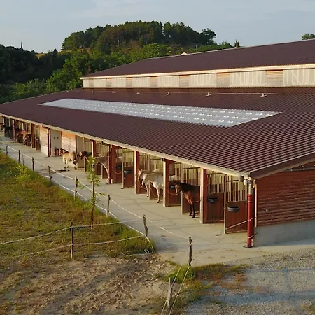 Domaine De Fraisse