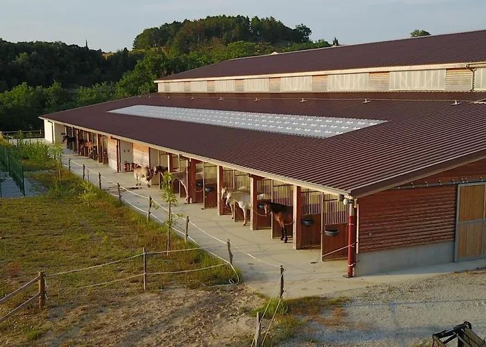 Domaine De Fraisse